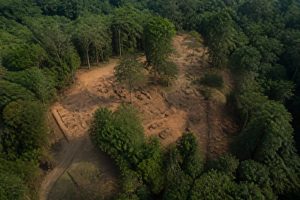 Arqueologia no Amazonas: descobertas, sítios e patrimônios culturais
